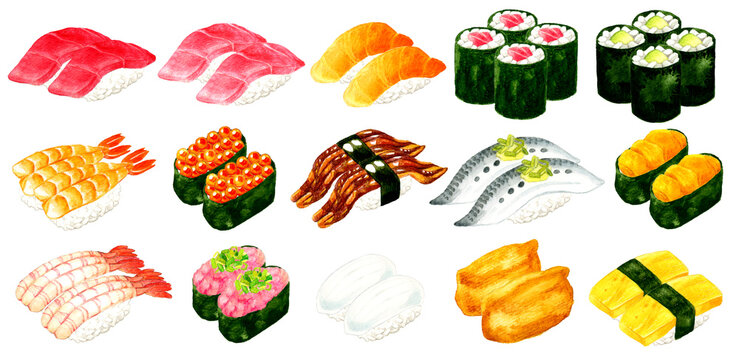 色々な種類のお寿司のセットイラスト　日本料理の手描き水彩イラスト素材集