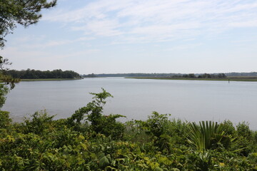 river with grass-inlet