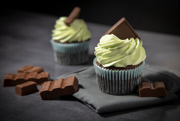 chocolate cupcakes with frosting