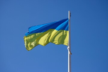 Ukraine flag waving in strong wind on a sunny summer day
