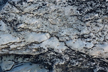 Fototapeta premium Patterns of rocks shells, rope and grass