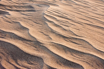 Desert Sand Waves