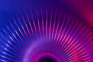 Closeup of coiled metal spring with sufficiently high strength and elastic properties in neon blue and red light. Macro photo, selective focus. - obrazy, fototapety, plakaty