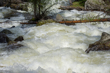 Aggressive Ouzel Creek in Colorado 