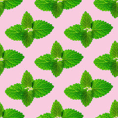 Naklejka na ściany i meble Seamless pattern of fresh mint leaves on pink background for packaging design. peppermint abstract background.