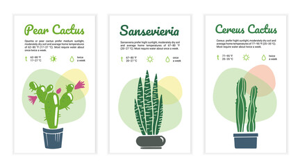 Home plant care instructions template set. Cactus, Sansevieria. Label, card, reminder for flower lovers and for flower shop. Vector illustration on white background.