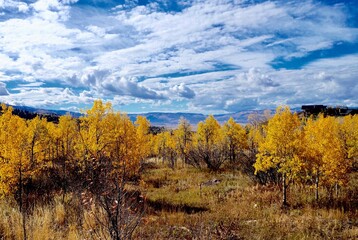 Fototapeta premium autumn in the mountains