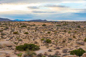 Sparse and remote landscape in the Californian desert during sunset with clouds starting to build color. 