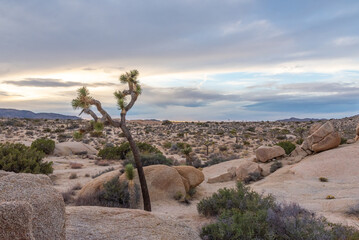 Sparse and remote landscape in the Californian desert during sunset with clouds starting to build...