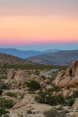 Incredible pink, orange sunset seen over desert landscape in Mojave Desert with purple, pastel tones. 