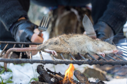 The homeless man with knife ad fork beside the grill of a rat, in a snowy landscape, close up view.