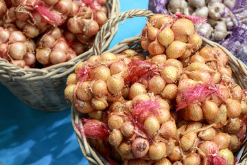 Harvested vegetables, a lot of onions for planting in nets in baskets. Horticulture and agronomy. The concept of abundance and scarcity of food