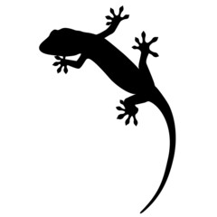 Naklejka premium ヤモリのシルエットイラスト（白背景・ベクター・切り抜き）