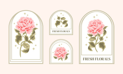 Set of vintage peach rose floral feminine logo elements and beauty product label vector illustration templates with leaf branch and frame