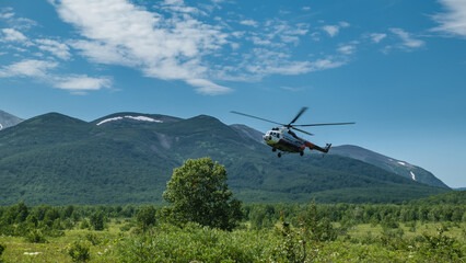 Naklejka na ściany i meble A tourist helicopter comes in to land on a green meadow. Lush grass and trees in the valley. A picturesque mountain range against the blue sky. Kamchatka. Nalychevo