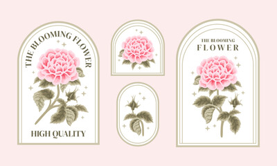 Set of vintage pink rose floral feminine logo elements and beauty product label vector illustration templates with leaf branch and frame