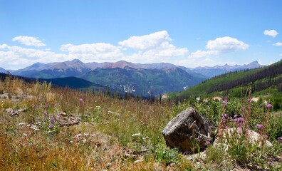 mountain landscape in the summer