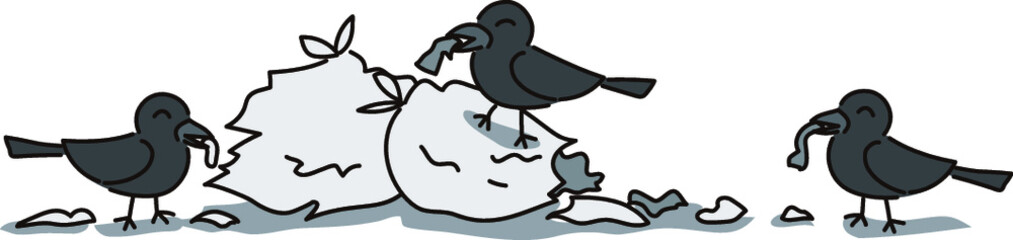 ゴミ袋を破って散らかしている三羽のカラス