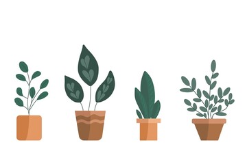 Vector set of plants. Potted plants collection. Hand drawn vector on the white background.
