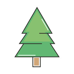 pine tree icon