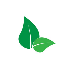 A green leaves icon, symble, logo, banner design. green leaf concept of spring season. vector and illustration