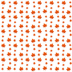 pattern of Red maple leaves on white background. texture design in autumn leaf of maple concept as a seasonal themed concept used in icon, logo of the fall weather