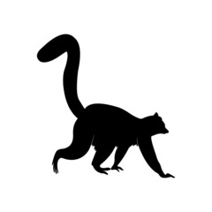 meerkat silhouette on white background.