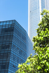City business buildings and green plants