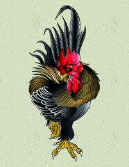 rooster tattoo neo traditional © cat poe