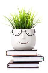 Table with notepads and plant with glasses