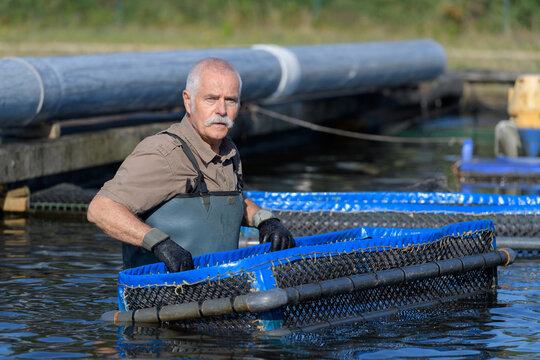 senior worker at a fishfarm