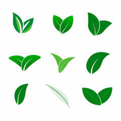 Green abstract leaf icons natural set on white background