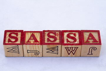 The term SASSA visually displayed