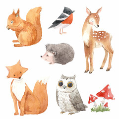 Beautiful set with cute watercolor hand drawn wild forest animals deer hedgehog fox owl bear squirrel. Stock illustration.