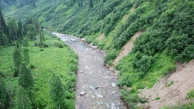 Aerial footage of mountain river, impenetrable forests landscape. Drone view of mountain river surrounded coniferous forest.