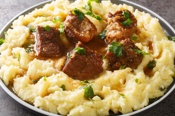 Greek Sofrito Traditional Beef Dish with mashed potatoes from Corfu with mashed potatoes closeup in...