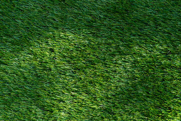 The green grass texture background