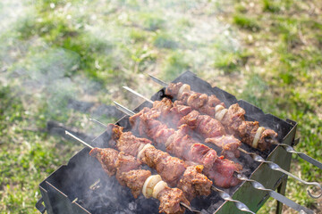 cook meat on the grill at a picnic. Meat on the grill at a summer picnic 