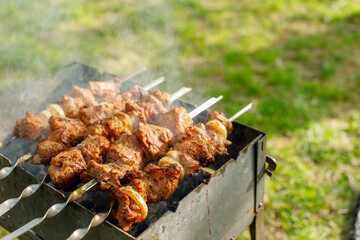 cook meat on the grill at a picnic. Meat on the grill at a summer picnic 