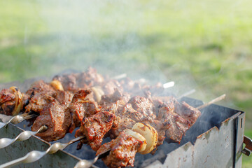 cook meat on the grill at a picnic. Meat on the grill at a summer picnic 