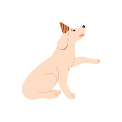 Cute birthday dog in party hat. Adorable funny doggy wearing bday cap. Canine animal celebrates holiday. Lovely labrador puppy with raised paw. Flat vector illustration isolated on white background