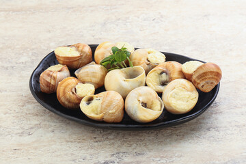 Delicous baked snail with butter - Escargot