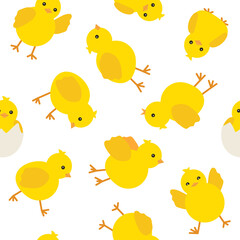Pattern cute yellow baby chicken for easter design, seamless background. Little yellow cartoon chick. Vector illustration on white background