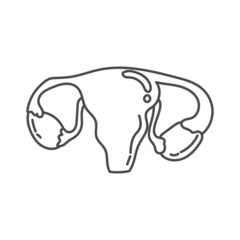 hand drawn illustration of female reproductive organ anatomy in humans suitable for educational purposes in schools as well as coloring books for children