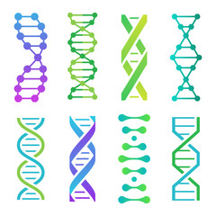 Colorful DNA icons. Spiral molecule structure for scientific research. Human genetic code with information