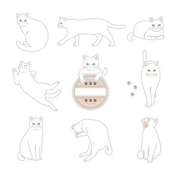 白猫のイラストセット