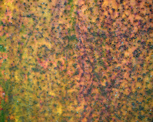 Metal rusty surface covered with corrosion. 