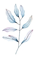 Fototapeta na wymiar Floral watercolor element