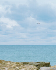 Fototapeta premium seagull on the beach