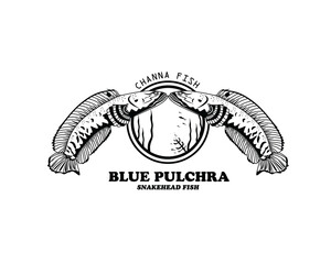 Vector Channa Blue Pulchra Illustration Predator Fish